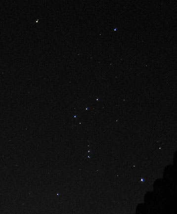 Orion