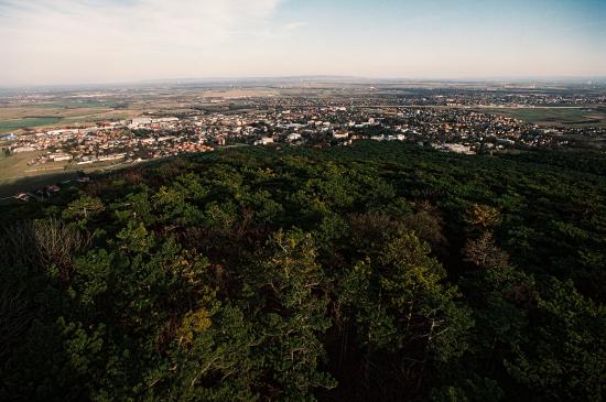 Blick vom Harzbergturm Richtung Bad V�slau