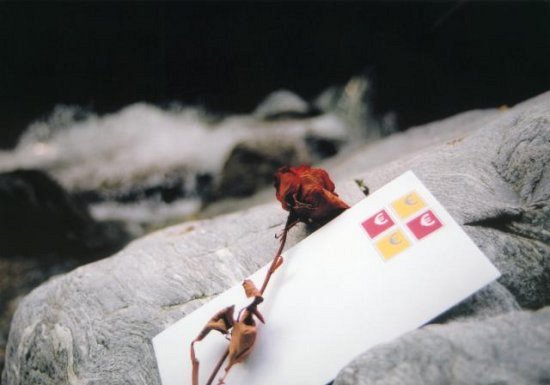 Lyrische Fotografie