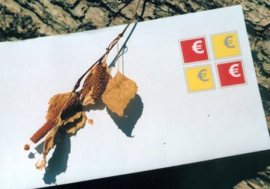Lyrische Fotografie